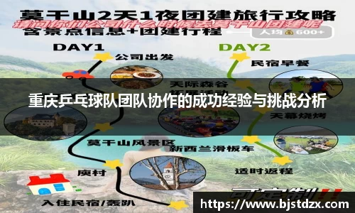 重庆乒乓球队团队协作的成功经验与挑战分析